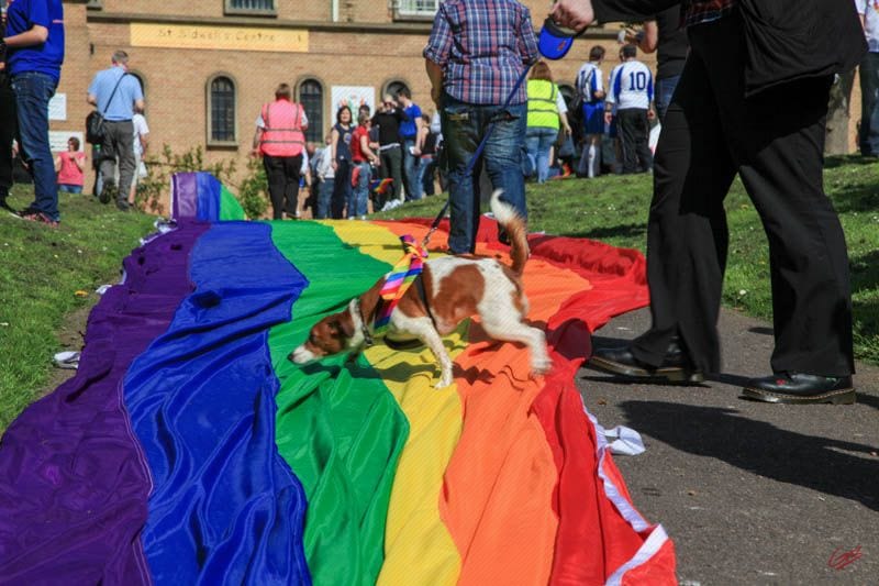 Exeter Pride 2011 — Exeter, Devon, United Kingdom