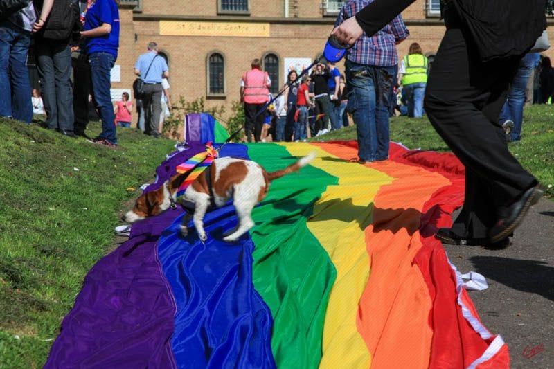 Exeter Pride 2011 — Exeter, Devon, United Kingdom