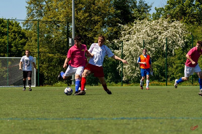 Devon Lions FC — Exeter, Devon, United Kingdom