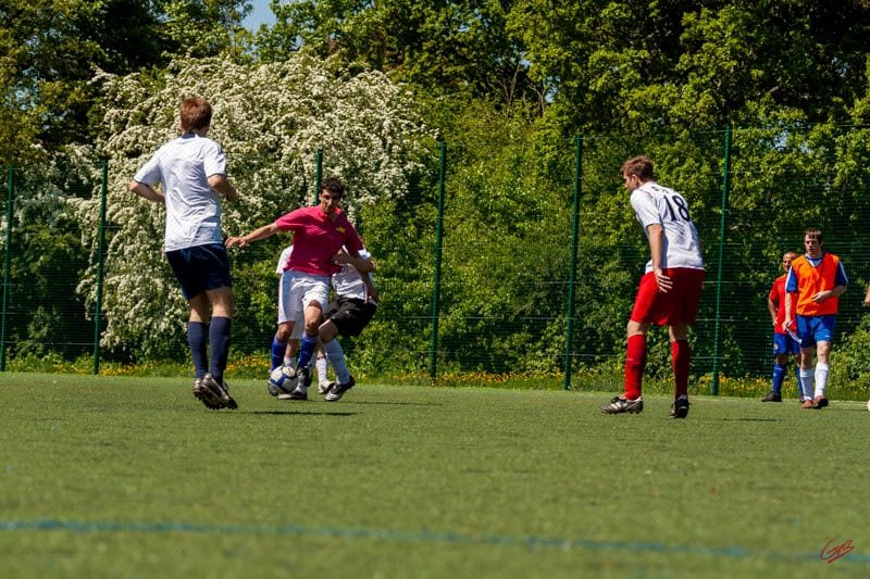 Devon Lions FC — Exeter, Devon, United Kingdom