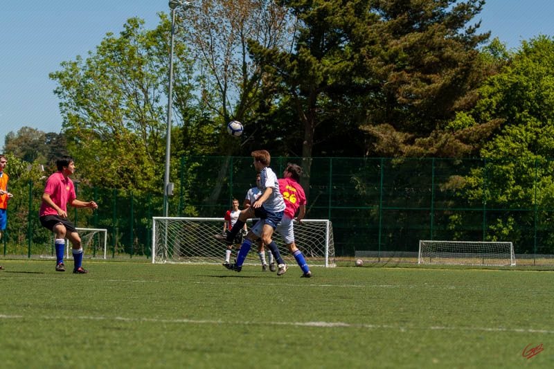 Devon Lions FC — Exeter, Devon, United Kingdom