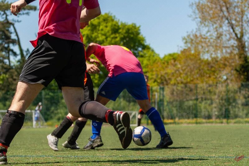 Devon Lions FC — Exeter, Devon, United Kingdom