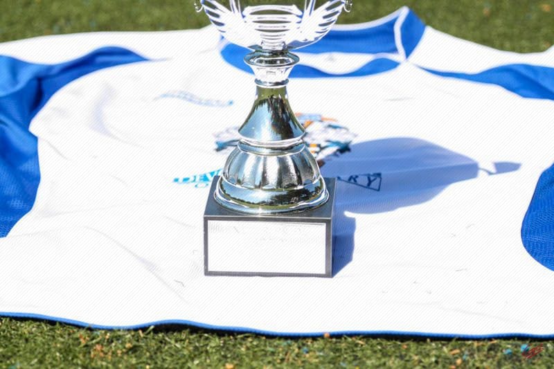 Devon Lions FC — Exeter, Devon, United Kingdom