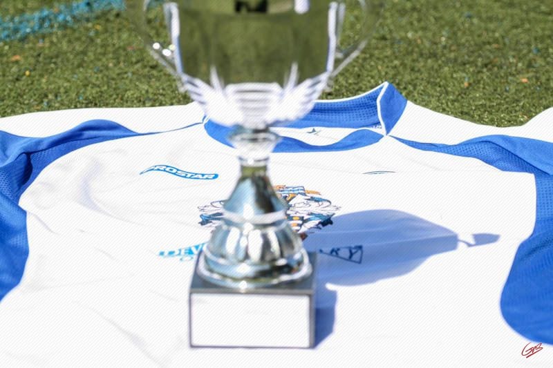 Devon Lions FC — Exeter, Devon, United Kingdom