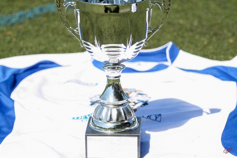 Devon Lions FC — Exeter, Devon, United Kingdom