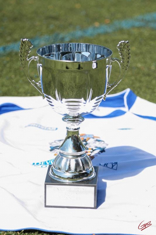 Devon Lions FC — Exeter, Devon, United Kingdom