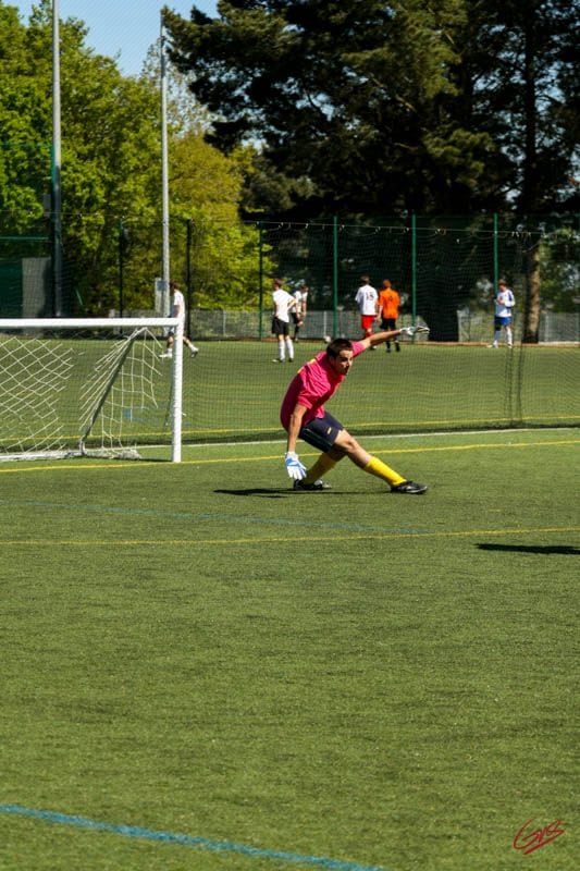 Devon Lions FC — Exeter, Devon, United Kingdom