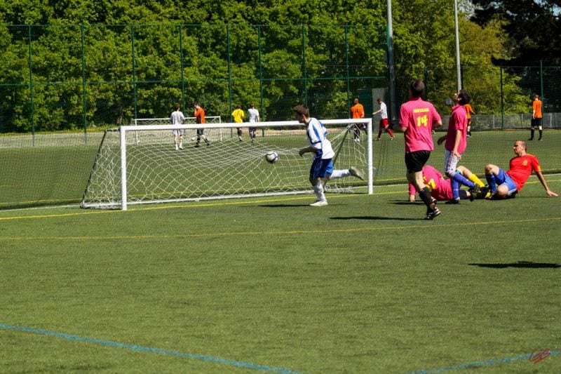 Devon Lions FC — Exeter, Devon, United Kingdom